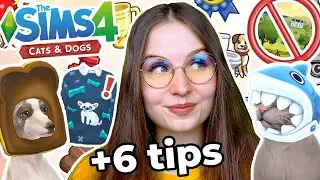 Sorry, You Are Playing with Cats & Dogs Wrong | The Sims 4 Cats & Dogs