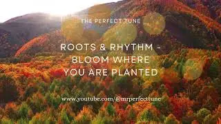Youtube Music - Roots and Rhythm