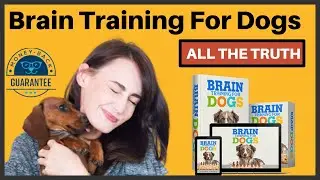 BRAIN TRAIN FOR DOGS COURSE  - training for dogs  -  BRAIN training 4 dogs book- Review