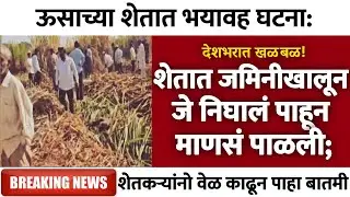 शेतात जमिनीखालून जे निघालं पाहून माणसं पळाली; देशभरात खळबळ! | Gramin Te Digital 