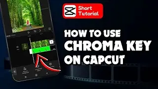 How to use chroma key in capcut 2023 | Initial Solution