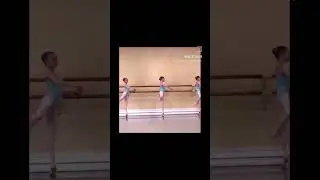 The history book on the shelf🐣🕊️ #vaganova #ballet #ballerina #fyp #viral