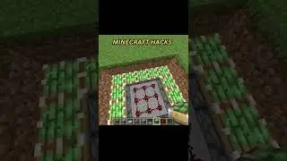 Minecraft Piston Trap!! #minecraft #shorts