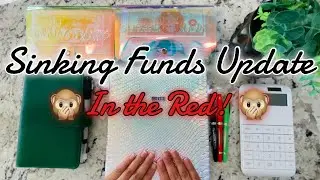 How to Track Savings | Sinking Funds Update | Nov 2021 | Cash Envelope Method | Budget with Jeanette