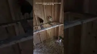 This is how we designed our roosting bars so that we can easily clean the coop.