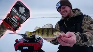 ICE Fishing For Green Bay Perch!! (Catch,Clean,Cook)