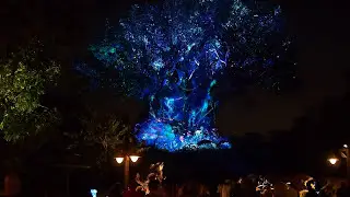 Tree of Life Awakens at Night in Animal Kingdom Walt Disney World