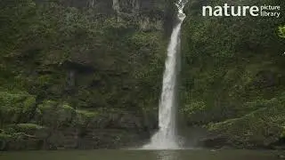 Waterfall at Nandroya Falls falling into lake, Atherton Tablelands, Queensland, Australia.