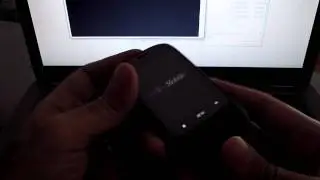 Root para el Pulse Mini