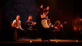 Cristina Carrasco en Teatro Flamenco Madrid - 