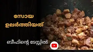 സോയ ഇഷ്ടമല്ലാത്തവർ പോലും ഇതു കഴിക്കു൦. 😋/soya chunks dry roast/journey with me@ sony