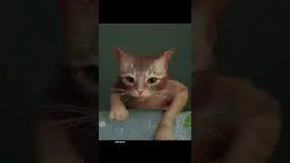 Cat fell down & get separated from other's emotional moment -Stray (cutscenes)
