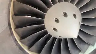 Aircraft Engine Bird Strike (Hawker900XP)