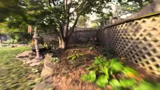 Smooth Vortex Damn Branch