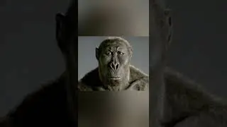 Memes sin contexto #2