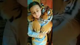 shanuu with lion ai video #shanuu #mshanuu #dailyvlog #lion #shair  #sher #tiger  #ai #aivideo #cute