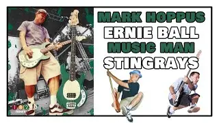 Mark Hoppus Ernie Ball Music Man StingRays