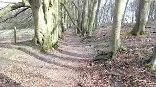 Cheesefoot Head March 2021