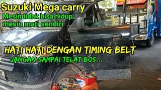Mesin Mega carry tidak bisa hidup | hati hati dengan timing belt