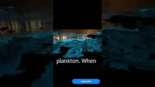 The Ocean Glows at Night 🌌🌊 #didyouknow #space #marinemystery #youtubeshorts #facts #brainteaser