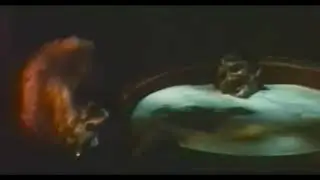 Niekas i&scaron;gert neduoda - Pinčiukas ir Raupys - 