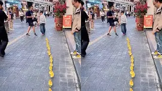 遛鸭子逛街 骑楼老街遛鸭大队上线！被路人追着拍照的快乐谁懂呀～路过的叔叔阿姨小朋友都笑弯了眼，治愈感直接拉满，今日份快乐，是这群小鸭子给的！#遛鸭子的小男孩 #遛鸭子日常 #童年的快乐就这么简单