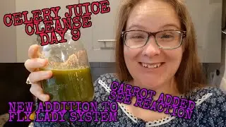 DAY 9 CELERY JUICE CLEANSE | SATURDAY MORNING | FLY LADY ADDITION - 5 MIN. HOT SPOT
