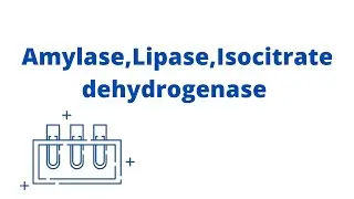 #biochemistry Amylase,Lipase,Isocitrate dehydrogenase