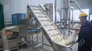 Garlic Powder Processing Line Plant