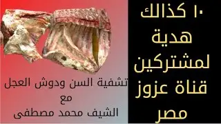٢-تشفية سن ودوش العجل مع الشيف محمد مصطفي
