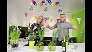 25-jarig jubileum versID