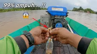 tips cara mancing ikan pakai umpan usus ayam di sungai besar kalimantan