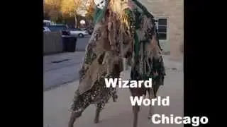 Wizard world chicago 2015 tree spirit adventure