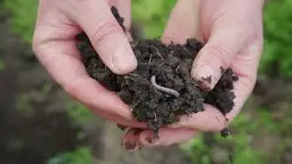 How to Start Your Own Regenerative Farm