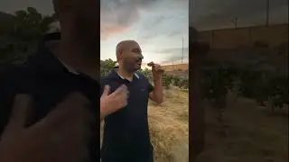 ستوريات ريان فهمي في سناب شات#ريان_فهمي