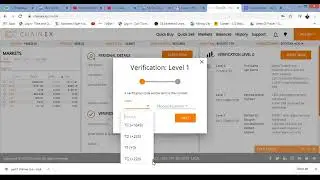 ChainEx  L1 Verification