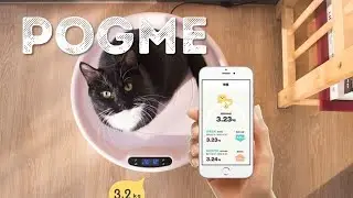 Now On Kickstarter: Pogme | Smart scale that keeps your cat warm and healthy