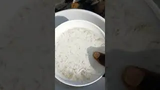 #shrimp #seed #vanamei #shorts #youtubeshorts #trending #viral#prawns