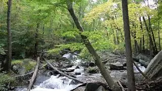 River & Waterfall sounds for sleeping Meditation Relaxation ASMR Braided Stream Waterfall