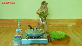 Master Chef Monkey Kako Cooking Fried Winter Melon With Chicken Egg Recipe