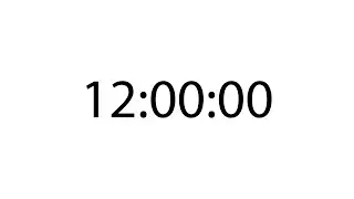 Professional 12 hour | 12:00:00 timer