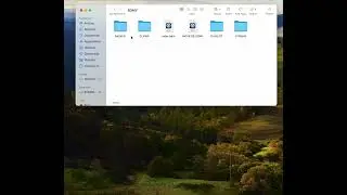 How to transfer videos from JVC Everio GZ-HM300 SE camcorder  to MAC macOS