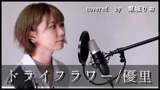 美人麻雀プロが本気でドライフラワー歌ってみた