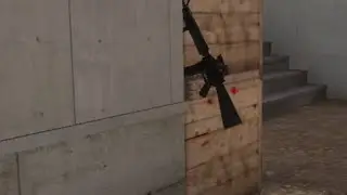 Spectator Test