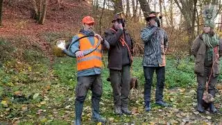 Die Jaghornbl&auml;ser F&uuml;rstenfeldbruck verblasen die Strecke bei der Treibjagd in Bayerdilling