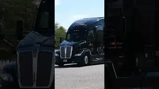 TRUCK SHORT # 834 STEVENS TRANSPORT RIG #trucking #bigtruck #bigrig