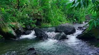 Whispering River for Restful Night and Inner Calm | sleep - relax - enjoy life - ASMR