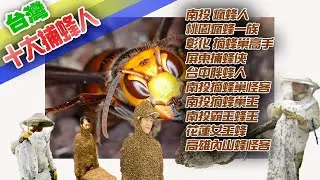 【十大捕蜂人】南投瘋蜂人 桃園瘋蜂一族 彰化摘蜂巢高手 屏東捕蜂俠 台中胖蜂人 南投摘蜂巢怪客 南投摘蜂巢王 南投霸王蜂王 花蓮女王蜂 高雄內山蜂怪客