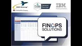 321 Gang, Inc - IBM FinOps Business Partner