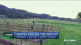 Silver Oak Cellars CEO talks trade impact on wine